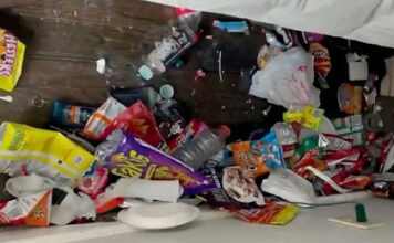 Диетолог обнаружила отвратительную находку за кроватью сына