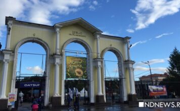 Любители филармонии соберутся на улице: Екатеринбург вновь ждет классический open-air