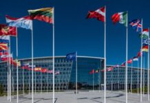 «Сигнал Москве»: НАТО обретает женское лицо