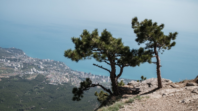 В ГД назвали слова Порошенко о Крыме попыткой выйти из политического забвения