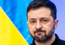 Politico: Путин и Трамп едины во мнении, что Зеленский должен уйти в отставку