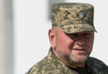 Залужный заявил, что Украина не сдастся