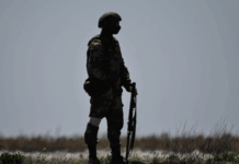 В Херсонской области добровольцы отряда «Барс-33» получили госнаграды