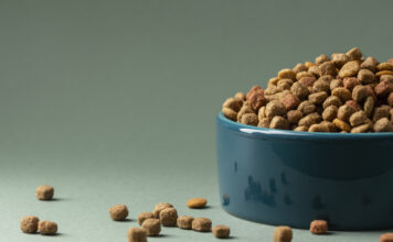 Как выбрать идеальный корм для своих питомцев: полный гид для заботливых хозяев